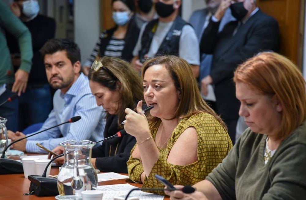 Cecilia Moreau encabeza el debate sobre la ley de alquileres en la Comisión de Legislación General (Foto: HCDN)