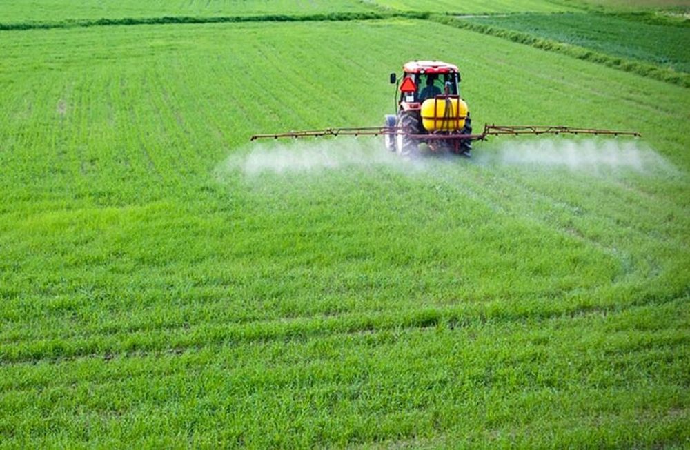 El granizo y las heladas estresaron a los cultivos. Si bien esto tendrá consecuencias negativas en la próxima temporada, la aplicación de fertilizantes en primavera podría mejorar la producción