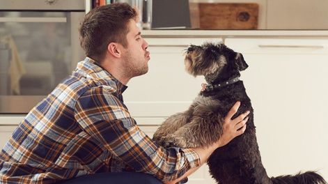 Según la psicología, hablarle a tu mascota como si fuera una persona revela que pertenecés a este grupo