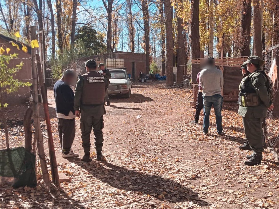 Uno de los procedimientos realizados en el Sur provincial. Gentileza Gendarmería Nacional.&nbsp;