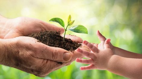 Los Andes | Este 5 de junio se conmemora el Día Mundial del Medio Ambiente.