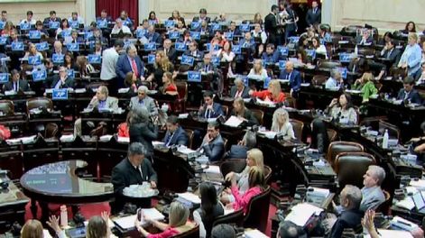 Los Andes | Sesión en la Cámara de Diputados. (Captura de video)