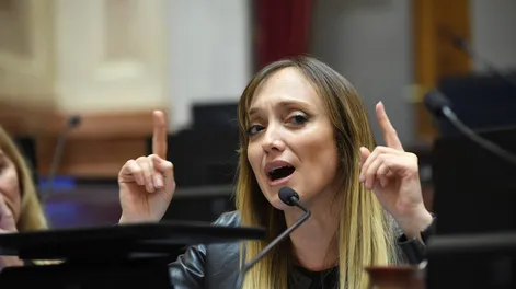 La senadora Anabel Fernández Sagasti
