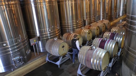 Durante la última década la industria vitivinícola ha tenido grandes cambios motorizados por los privados / Foto: Orlando Pelichotti