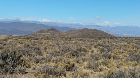Empresarios plantearon qué significa PSJ Cobre Mendocino para el desarrollo provincial