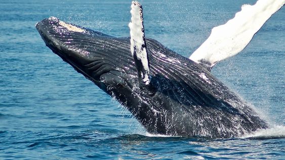 La compañía Civitavis ofrece una gran cantidad de opciones para que los argentinos y mendocinos puedan descansar durante el mes de julio. Gentileza: Civitatis.