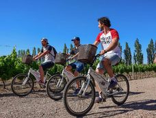 Fin de semana XL: según las proyecciones del Ente Mendoza Turismo (Emetur), el nivel de ocupación promedio rondará el 80% en toda la provincia