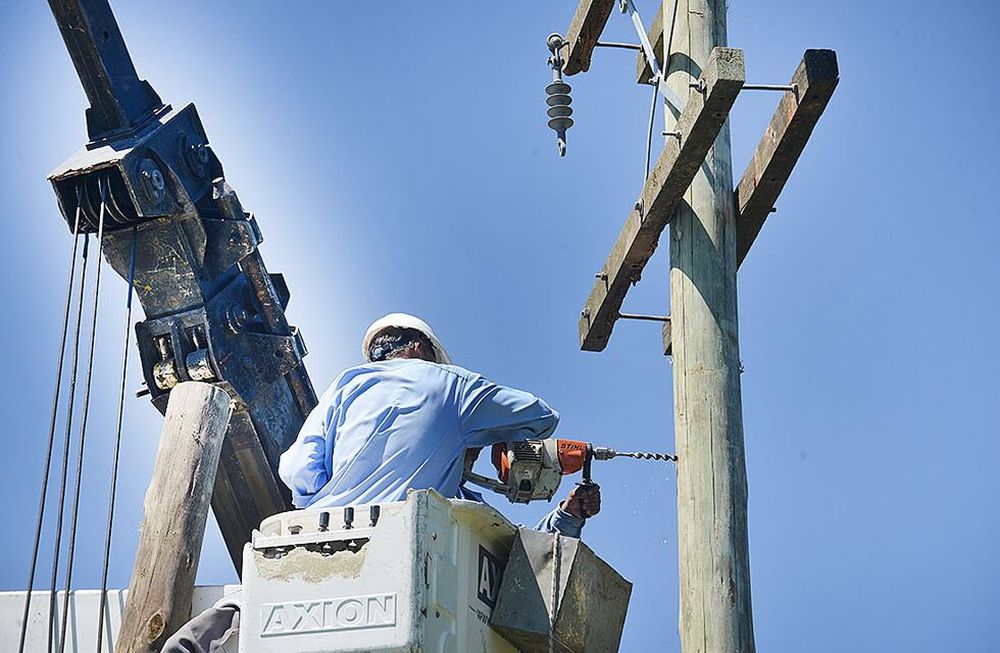 Comienza el plan de auditorías en el sector cooperativo. La auditoría permitirá saber con exactitud el grado de cumplimiento del servicio. / Fecescor