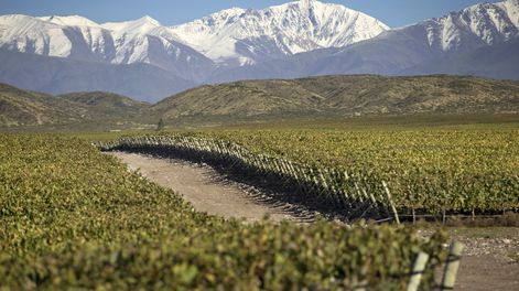 Doña Paula Wines Doña Paula Wines