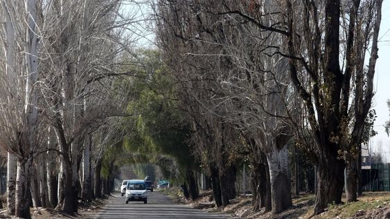Calle Boedo de Luján de Cuyo.