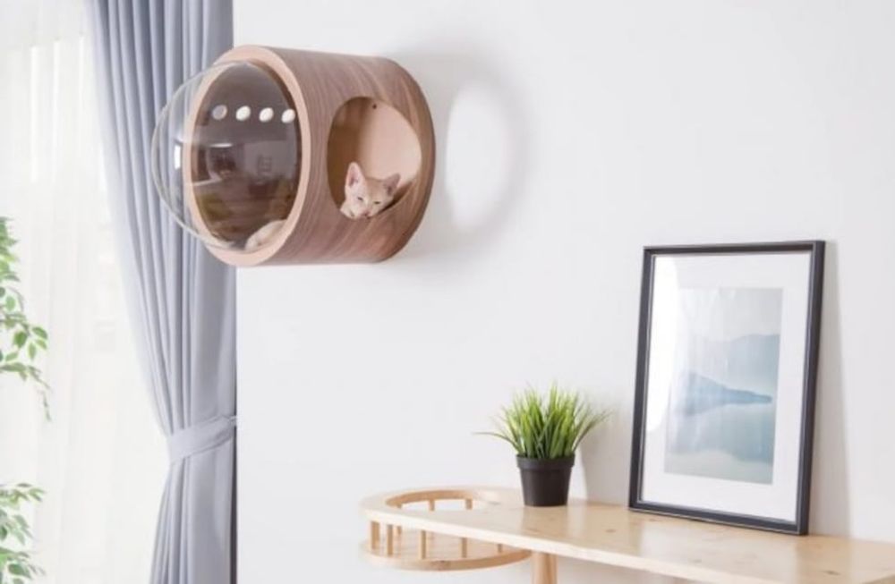 Arquitectura para mascotas: Construí su casa ideal