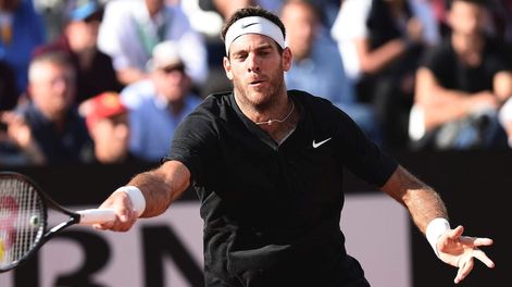 Del Potro y Schwartzman avanzan a paso firme en Roland Garros