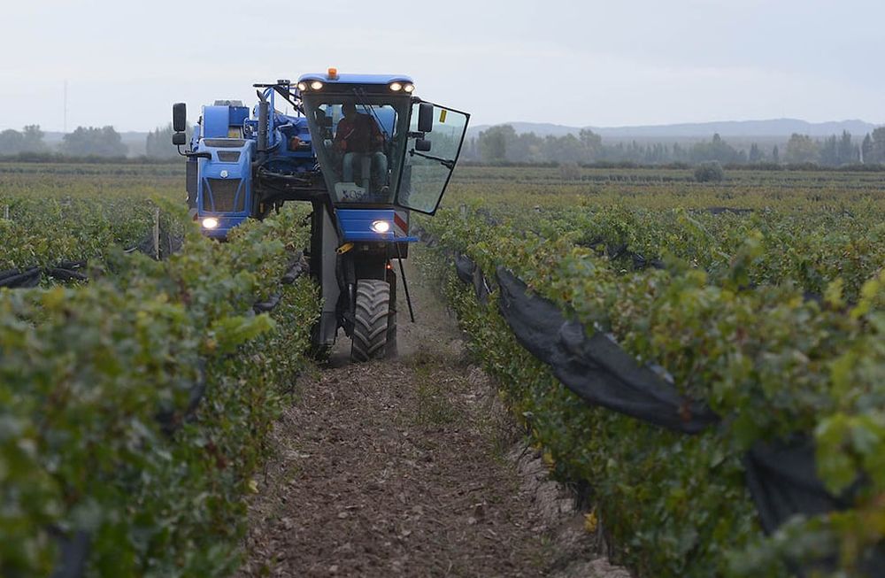 En esta época se define la mayor parte de las inversiones en maquinaria de la industria vitivinícola. Foto: Claudio Gutierrez / Los Andes