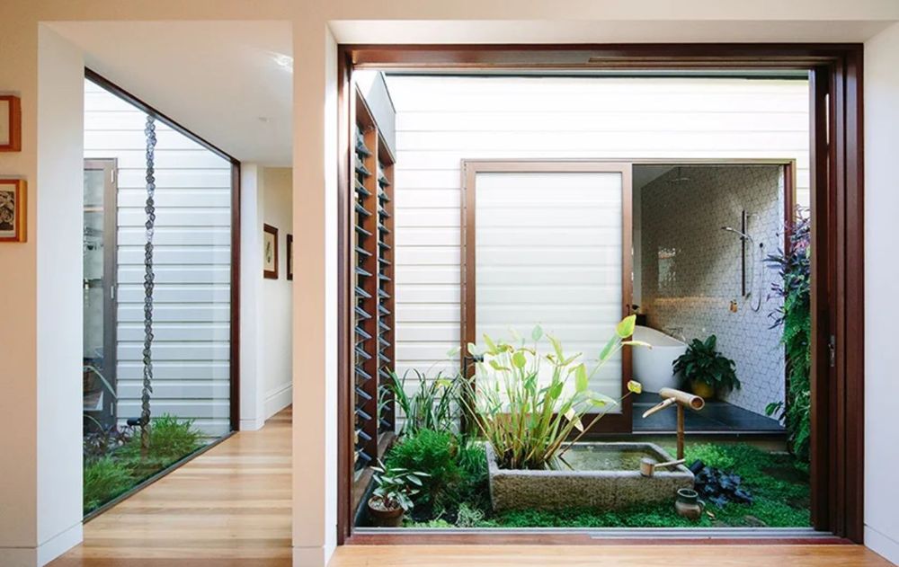 Estas especies de plantas son funcionales, decorativas y resistentes en patios internos.