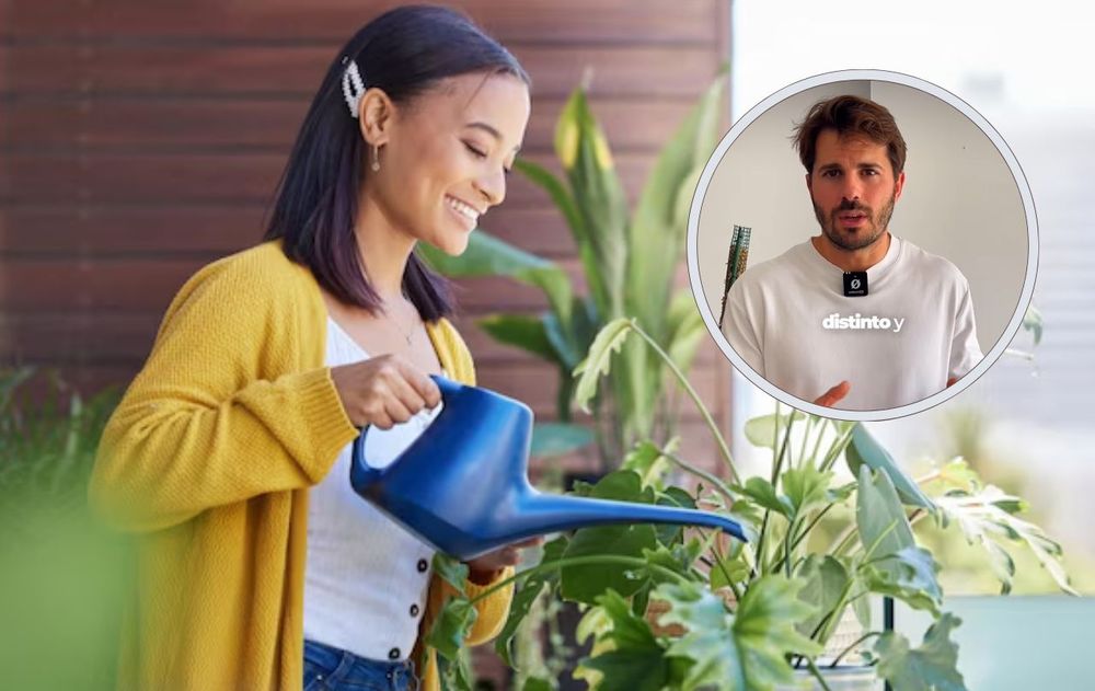 riego de plantas