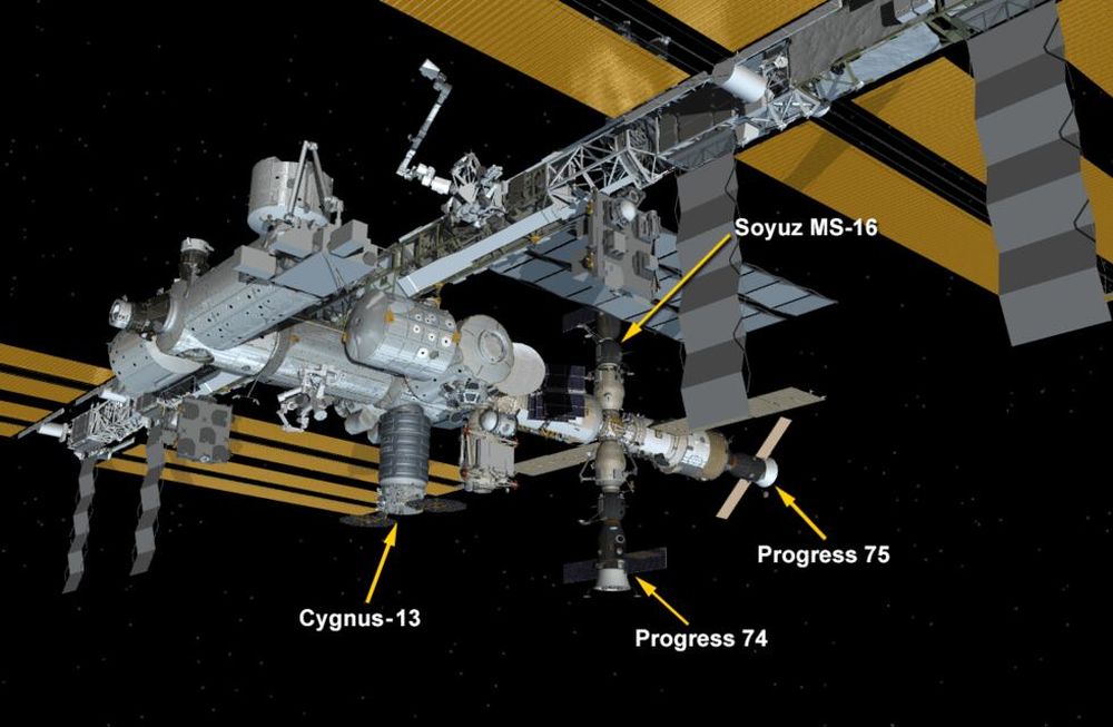 Puerto. Ubicación de las naves en la Estación Espacial. (Nasa)