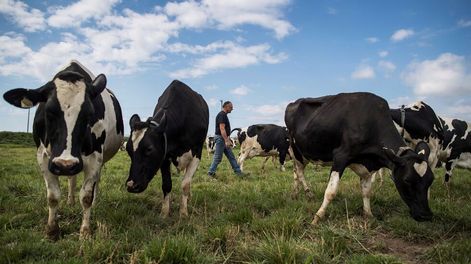 El agro: en un punto de inflexión en su relación con el ambiente - Por Jorge Castro