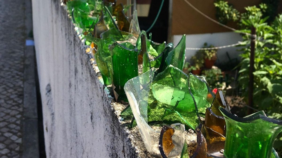 Colocar vidrios rotos en la medianera: por qué puede traerte problemas legales, según la ley