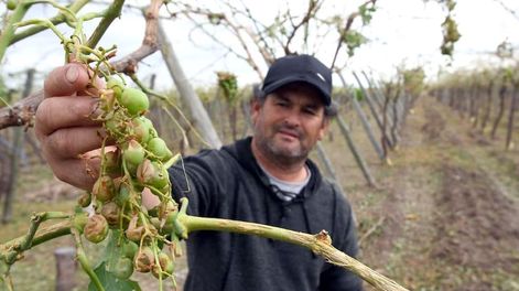 El efecto de las contingencias climáticas en la producción agrícola - Por Alfredo Aciar