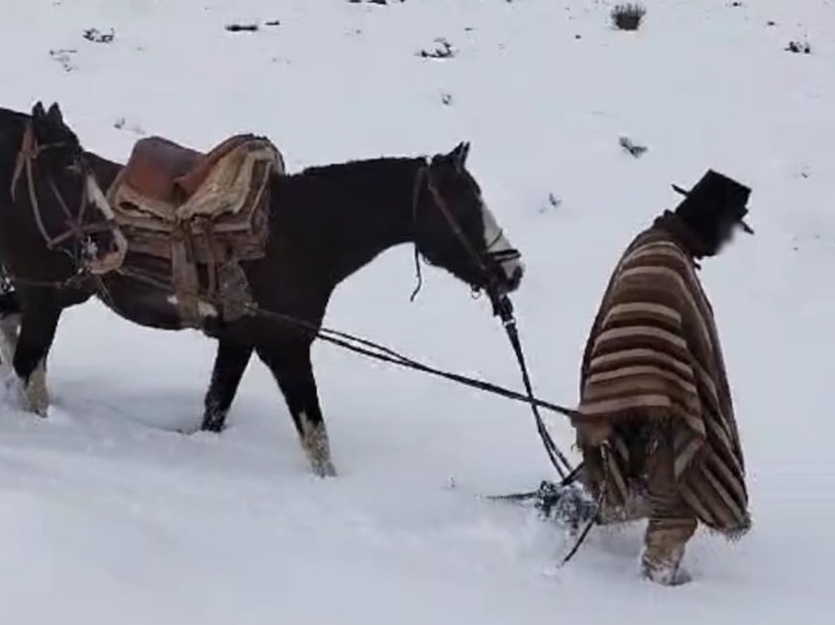Efectivos de Gendarmería Nacional asistieron a un baqueano que se había extraviado en la zona de Cordillera - Foto Gendarmería Nacional