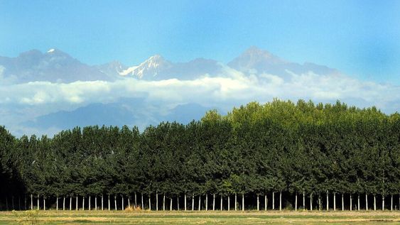 Pronóstico del tiempo para este miércoles: bueno y con ascenso de la temperatura en Mendoza.