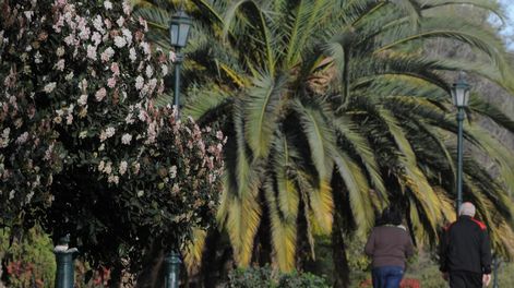 El pronóstico del tiempo para el fin de semana comienza con mañanas frías y cielo despejado en Mendoza.&nbsp;