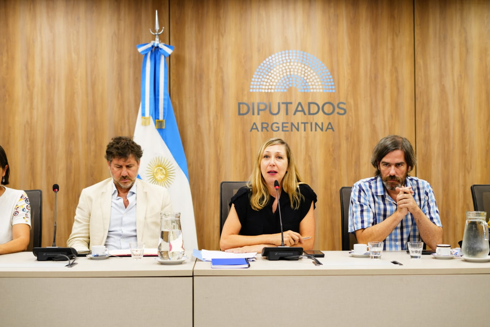 En la Cámara de Diputados se realizó una Audiencia Internacional contra la reforma laboral.