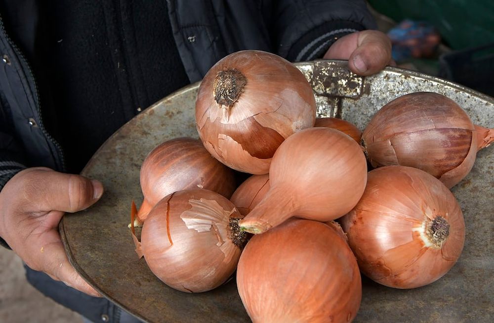 La cebolla se ha encarecido. Foto: Orlando Pelichotti / Los Andes