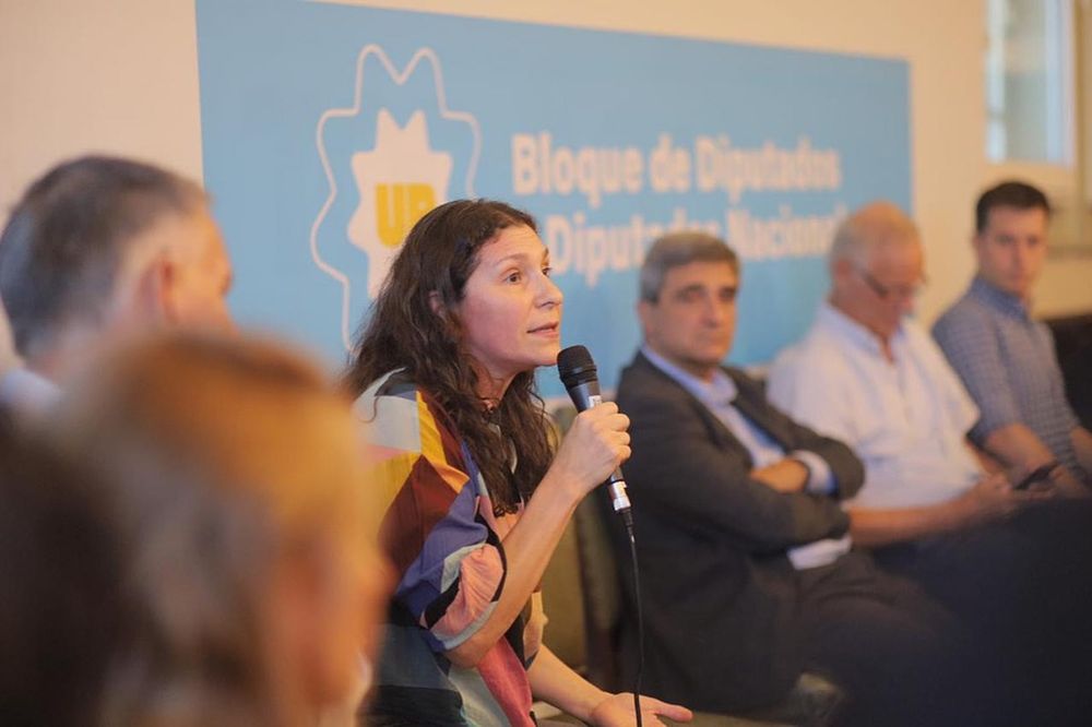 Mónica Macha, presidenta de la Comisión de Mujeres y Diversidad. Foto: Instagram / @monicafmacha