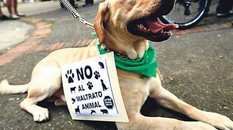 Y, de nuevo, el prejuicio - Por Rosa Montero