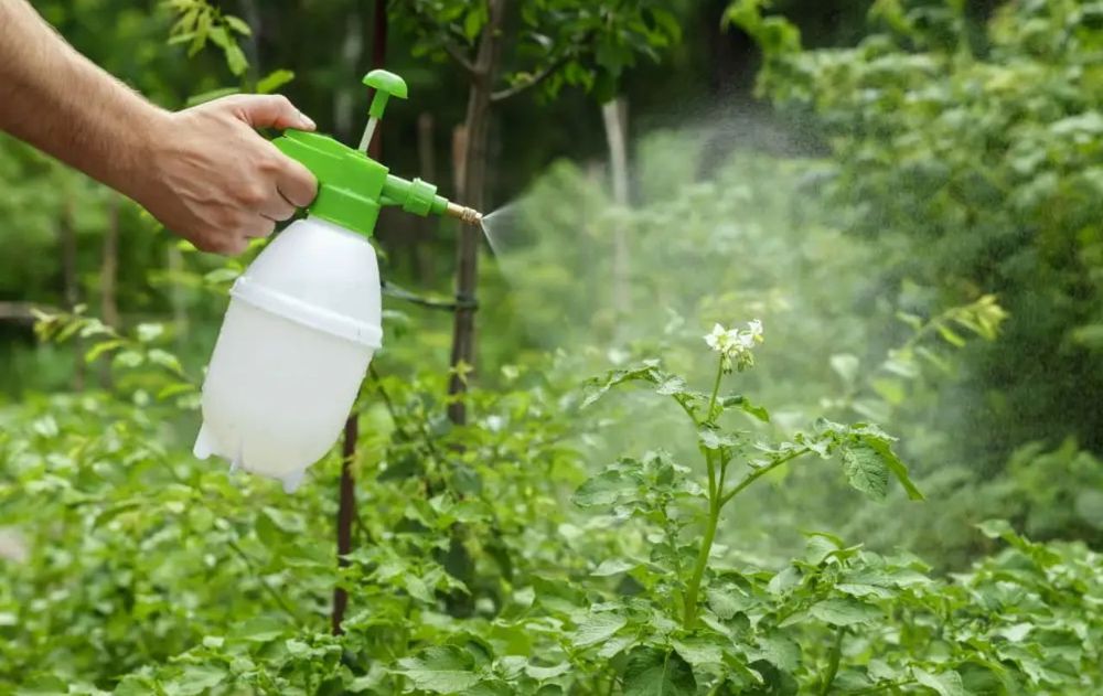 La fórmula permite aprovechar ingredientes que habitualmente se tiran a la basura o se necesitan para otras preparaciones.