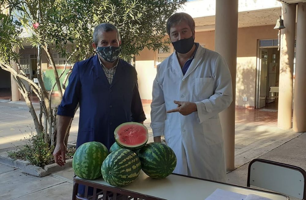 La escuela Gauchos de Güemes, de Alvear, cultivó sandías y ahora las vende para pagar el servicio de internet.