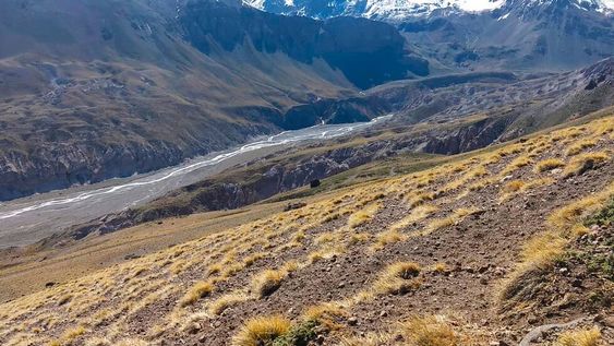 Llega la charla virtual del Ciclo “Integración”