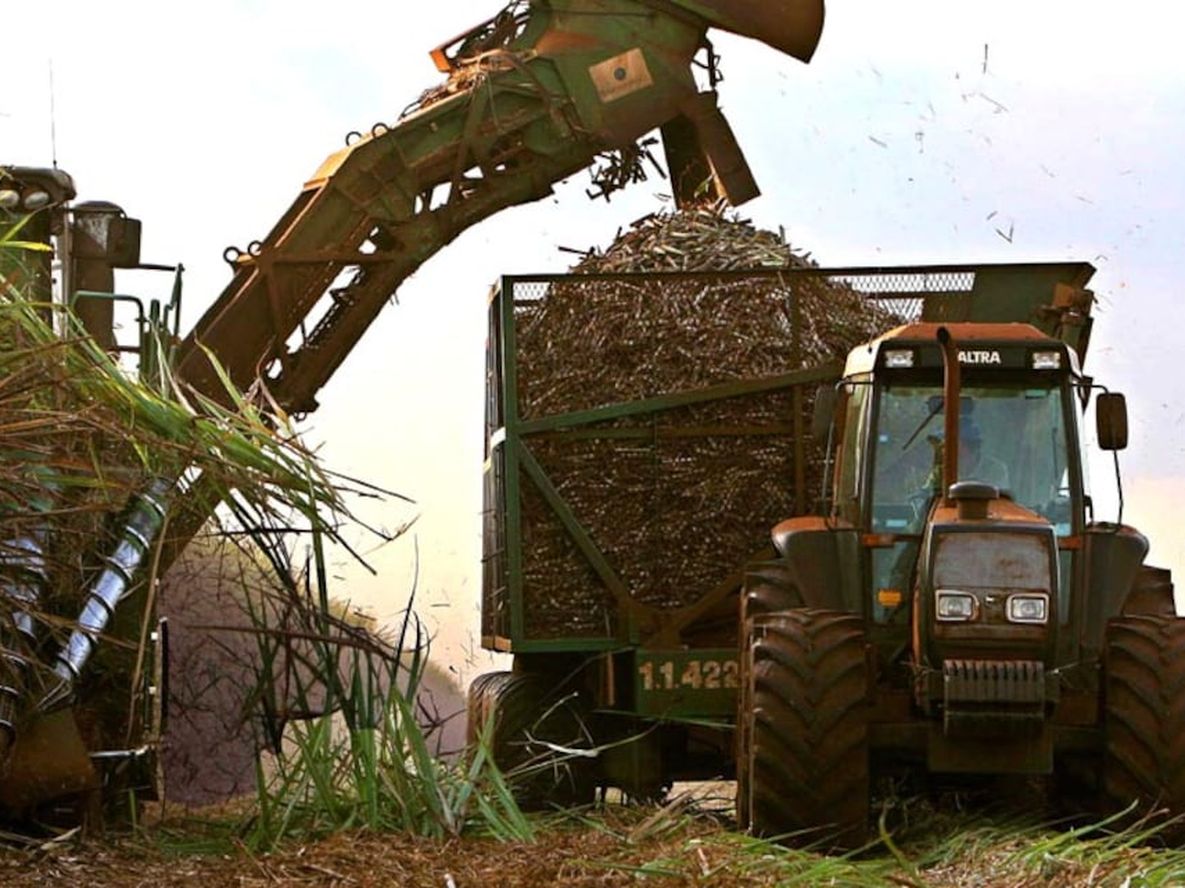 El agro brasileño profundiza su alianza estratégica con China - Por Jorge Castro