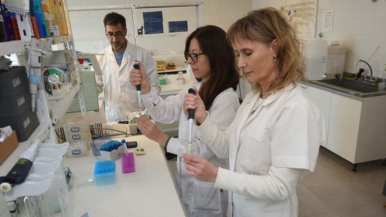 Científicos mendocinos de la UNCuyo y CONICET, ayudana entender cómo se produce una fecundación exitosa.Silvia Belmonte, Bioquímica y Doctora en Bioquímica y directora del equipo de científicos junto aCintia Vaquer bióloga molecular y doctora en Ciencias Biológicas y Martín Pavarotti, bioquímico y Doctor en biología en el laboratorio del Instituto de Histología y Embriología de la Facultad de Ciencias Médicas de la UNCUYOFoto: José Gutierrez / Los Andes