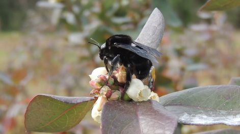 Los Andes | V73MGNSBP5DMLCPJKN3YKQVNII.jpg?quality=75&smart=true&auth=1286ea01ebc59aac20c544581fee1a24252629b08b3b487fd5ef04c033ffc1f4&width=980&height=640