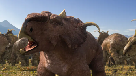 Encontraron un cementerio de animales en Canadá e investigan qué ocurrió con la manada. Gentileza