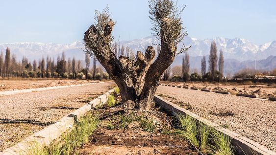 La desarrolladora Hyde vende los últimos 15 lotes del barrio Los Tarcos, tras un éxito de ventas