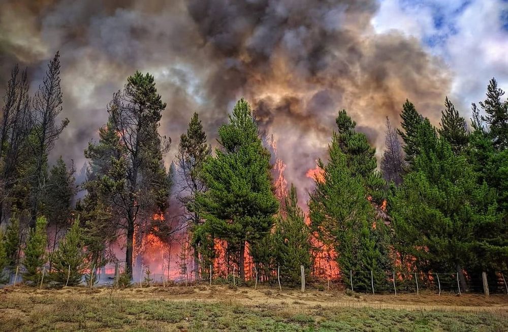 Imputaron a seis personas por haber hecho una fogata y no haberla apagado adecuadamente, lo que derivó en un gran incendio forestal en El Bolsón. Foto: Andres Calfulef
