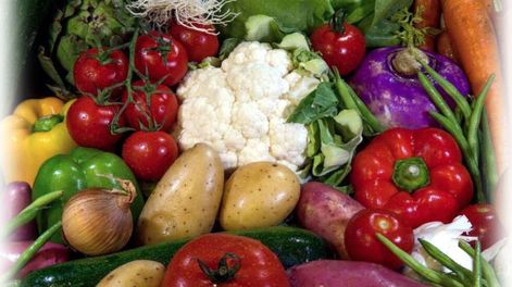 Lo que vendrá: la revolución en los alimentos