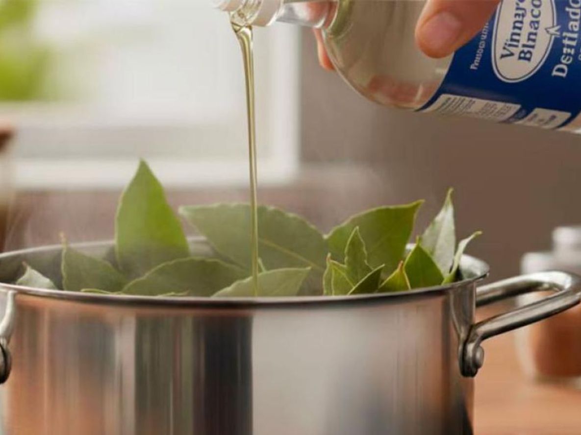 Esta mezcla natural debe entenderse como complemento y no como reemplazo de productos desinfectantes en la limpieza del hogar.