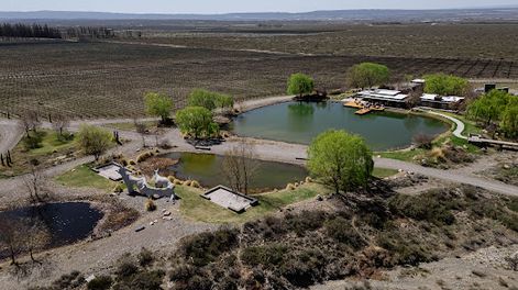 Comienzan las tareas de fraccionamiento de vinos en Gualtallary