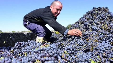 Ante un nuevo contexto vitivinícola - Por Eduardo Córdoba