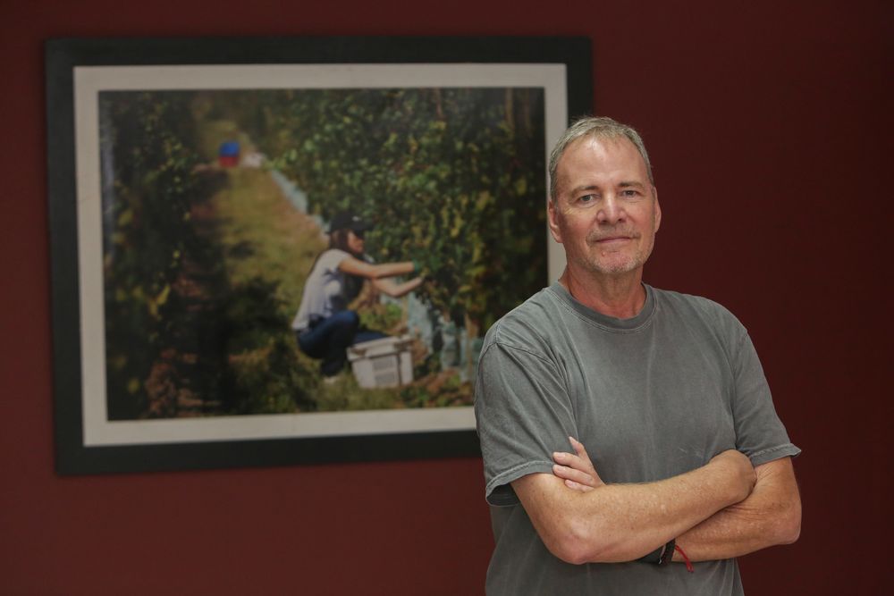 Michael Evans  The Vines. Foto: Los Andes