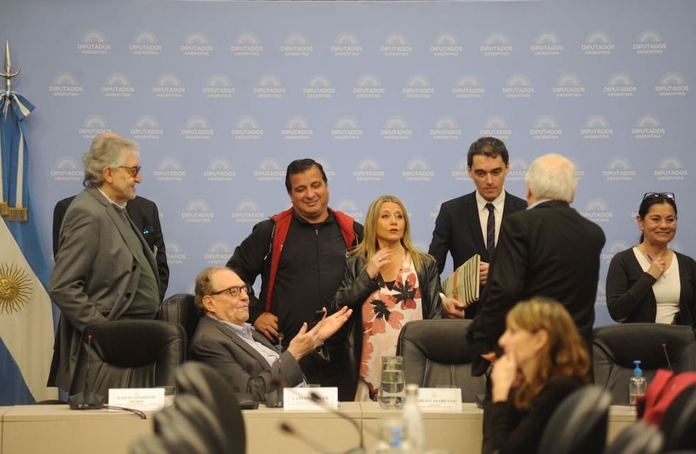La subsecretaria de Ingresos Públicos, Claudia Balestrini, en la Comisión de Presupuesto y Hacienda (Foto: Federico López Claro)