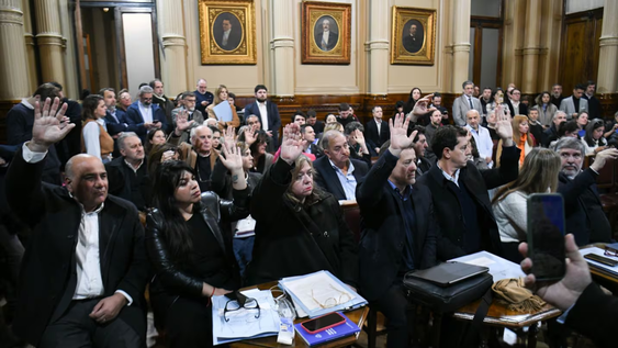 Senado: la oposición avanzó con leyes previsionales y de discapacidad.