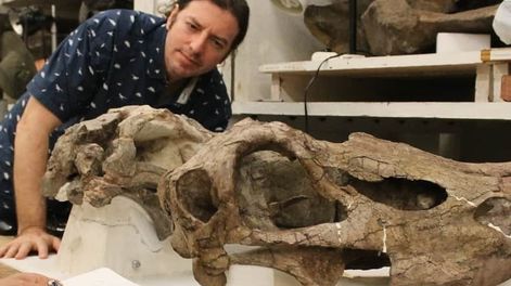 Mendoza, tierra de saurios: los 6 ejemplares que vivieron en estas tierras y la voz del “Señor de los Dinosaurios”. Foto: Gentileza Bernardo González Riga