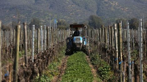 Los Andes | GRQTSODBMZSGEMBXMZSTGOBTHA.jpg?quality=75&smart=true&auth=710a485846c3a5caee0d035f02af079b2cdfaad8ea1e9416afad2a4cfedffc8a&width=980&height=640