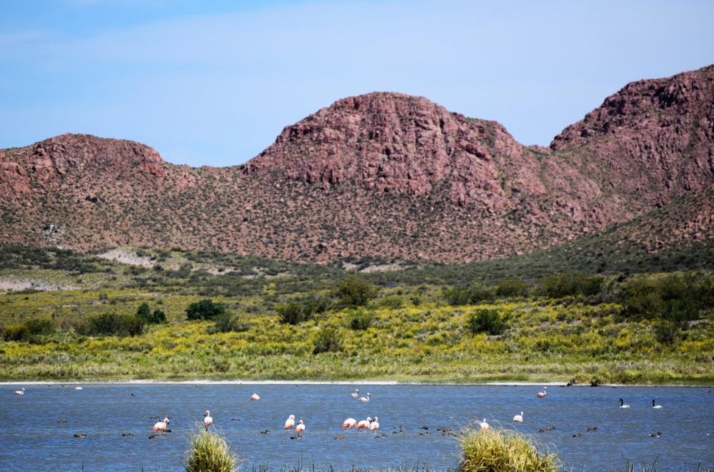 Premian a guías turísticos de Mendoza que concientizan sobre cuidado del agua y reciclan botellas de plástico. Foto: Gentileza