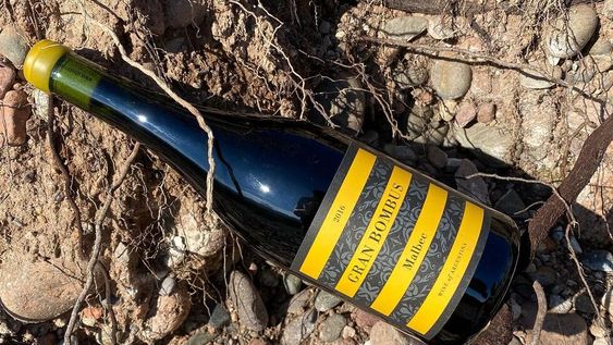 Abejorro Wines ofrecerá tres vinos en la Feria de Guarda14